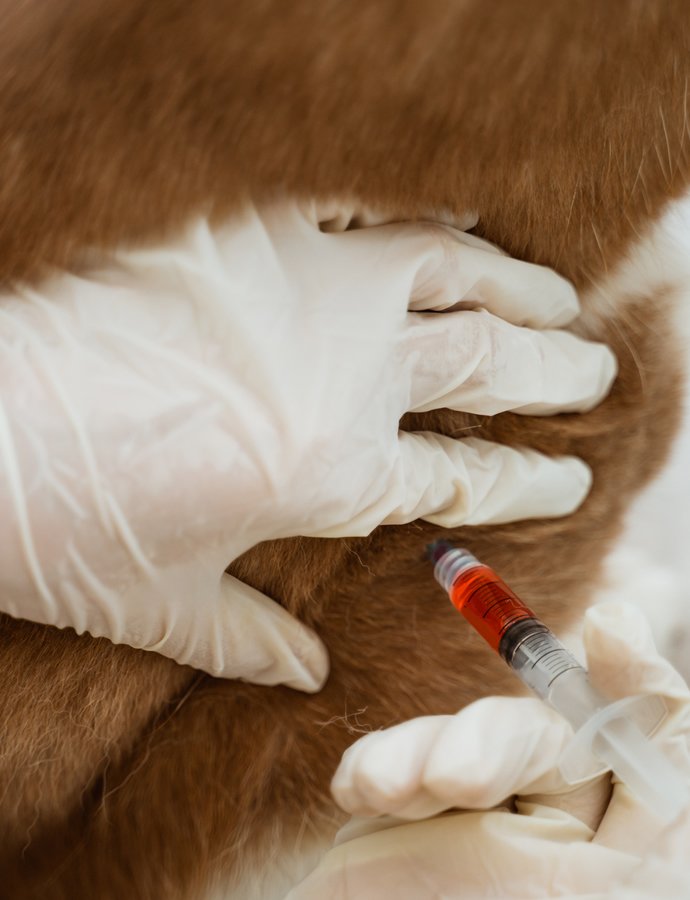 Blood Test