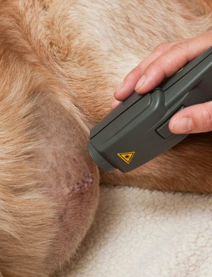 Laser Physiotherapy