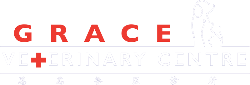 Grace Veterinary Centre