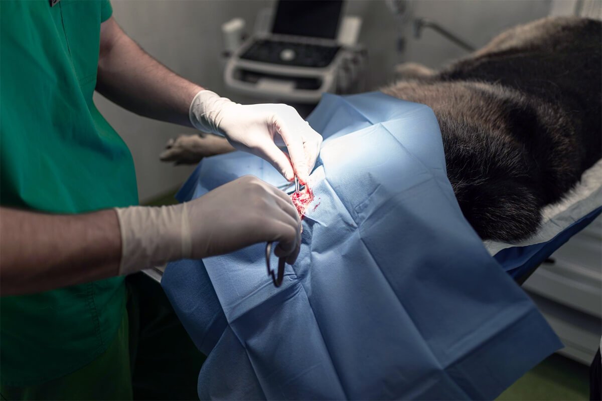 Orthopedic Surgery