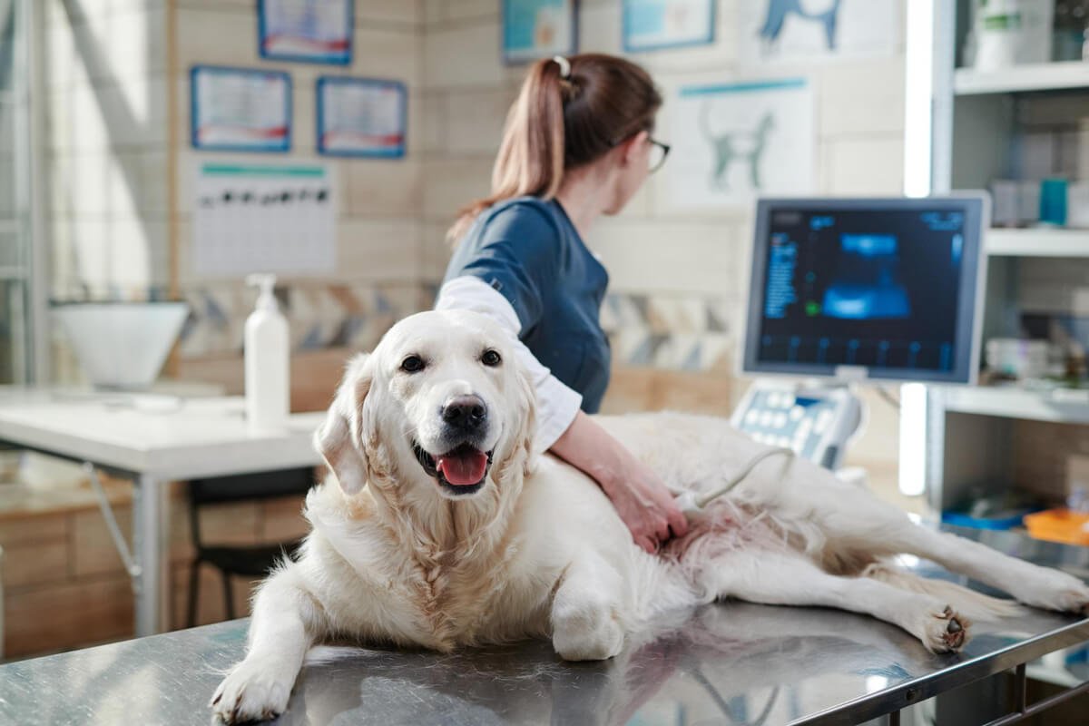 Ultrasound